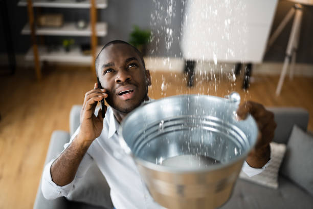 Best Water damage mitigation services  in Dryden, MI