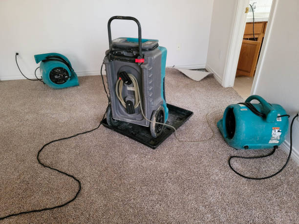 Best Residential water damage restoration  in Dryden, MI