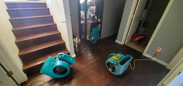  Dryden, MI Water damage restoration Pros