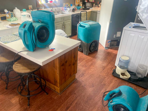 Best Fire Damage Restoration  in Dryden, MI