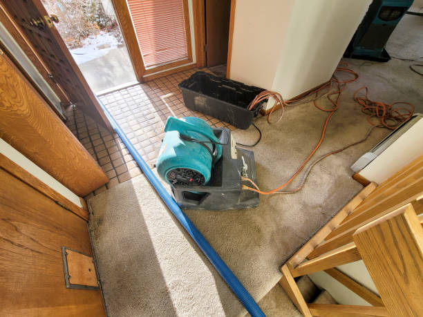 Best Basement water damage restoration  in Dryden, MI