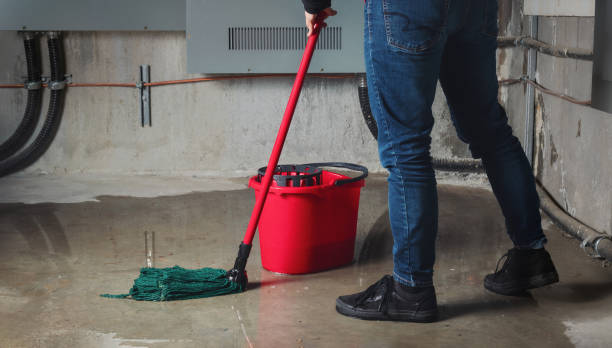 Best Flood damage cleanup  in Dryden, MI