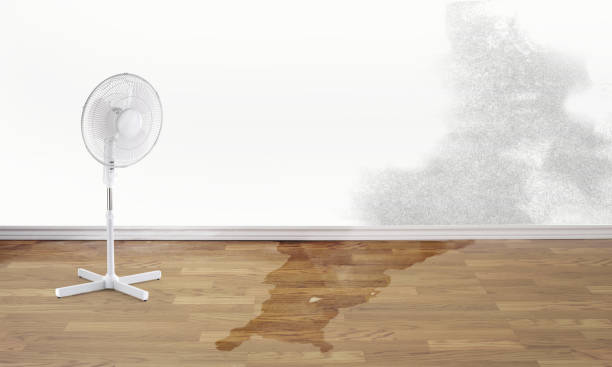 Best Emergency water damage restoration  in Dryden, MI