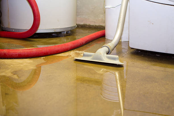Best Residential water damage restoration  in Dryden, MI