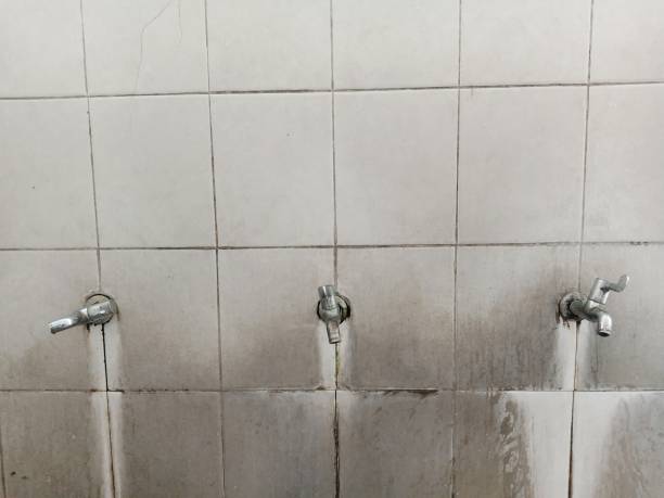 Best Flood restoration services  in Dryden, MI