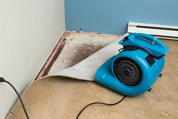 Water damage restoration process in MI
