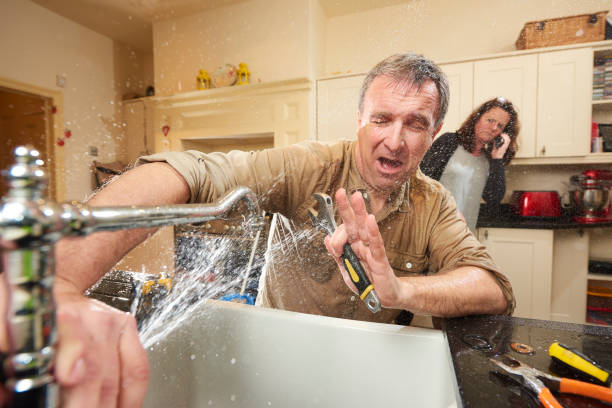 Best Water damage restoration near me  in Dryden, MI